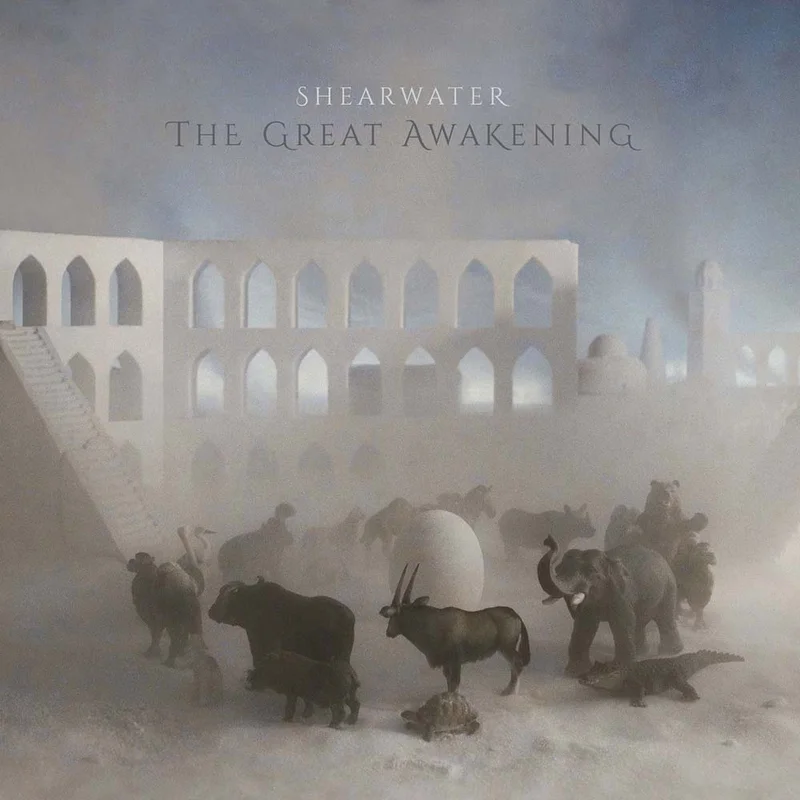 assai3364836