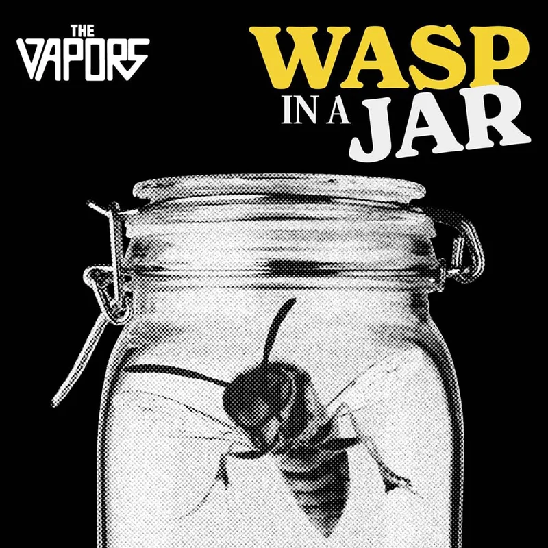 assai3856659