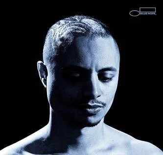 diversevinyl2505235
