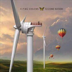 diversevinyl2517844