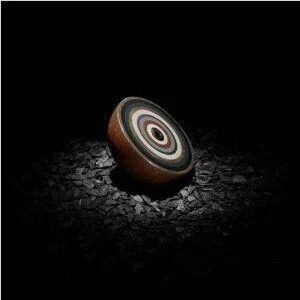 diversevinyl2524429