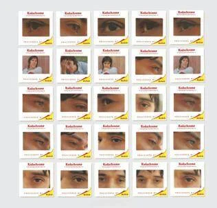 diversevinyl2545079