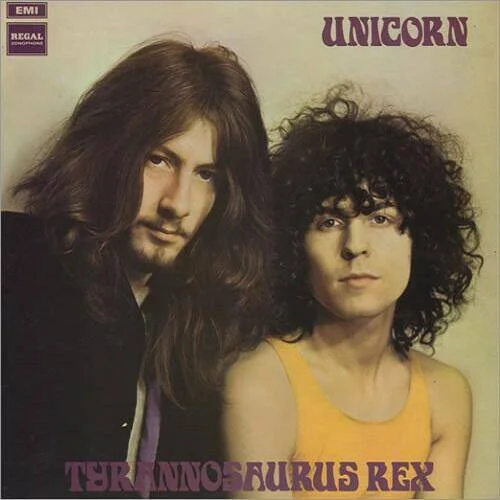 diversevinyl2548090