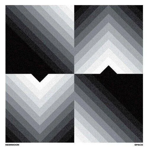 diversevinyl2642924
