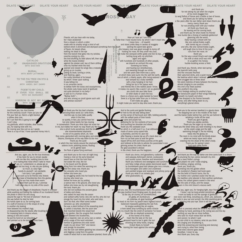 diversevinyl2911851