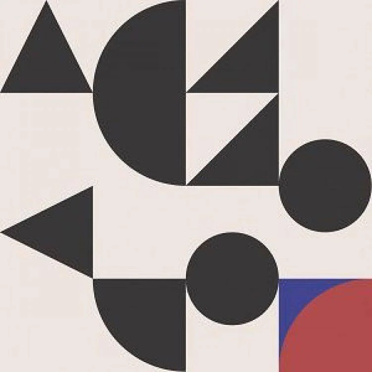 diversevinyl2912946