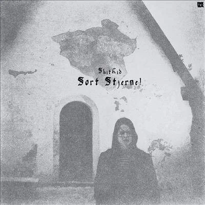 diversevinyl2924403