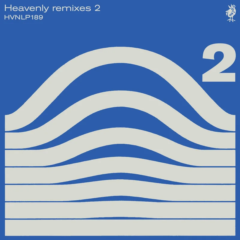 diversevinyl2942710