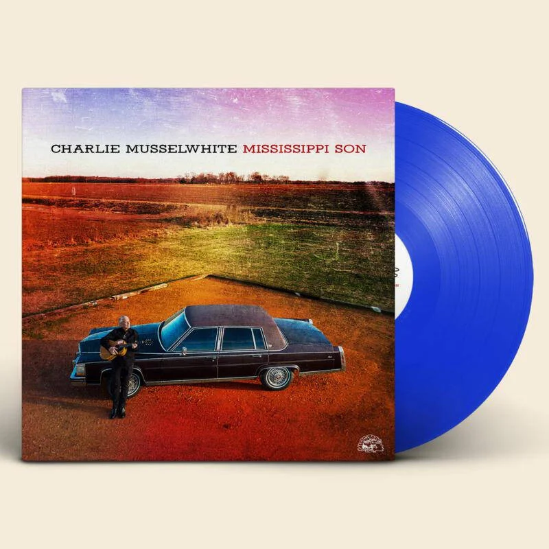 diversevinyl2982676
