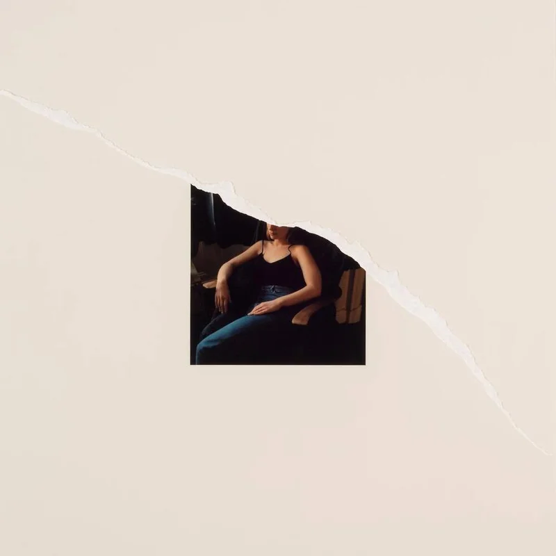 diversevinyl3019115