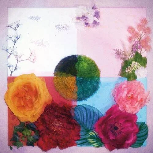 diversevinyl3021479
