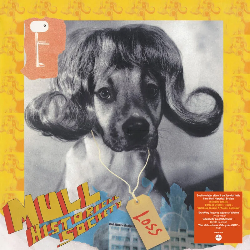 diversevinyl3031172