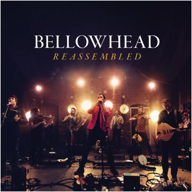diversevinyl3059734