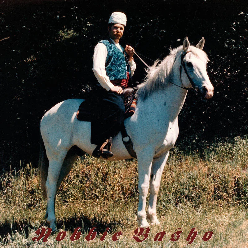 diversevinyl3107008