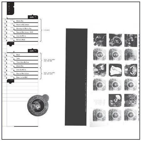 diversevinyl3110494