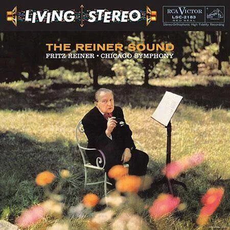 diversevinyl3117924