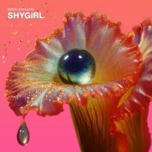 diversevinyl3125859