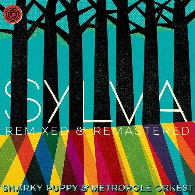 diversevinyl3138973