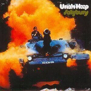 diversevinyl3172742