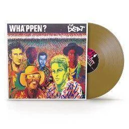 diversevinyl3229735