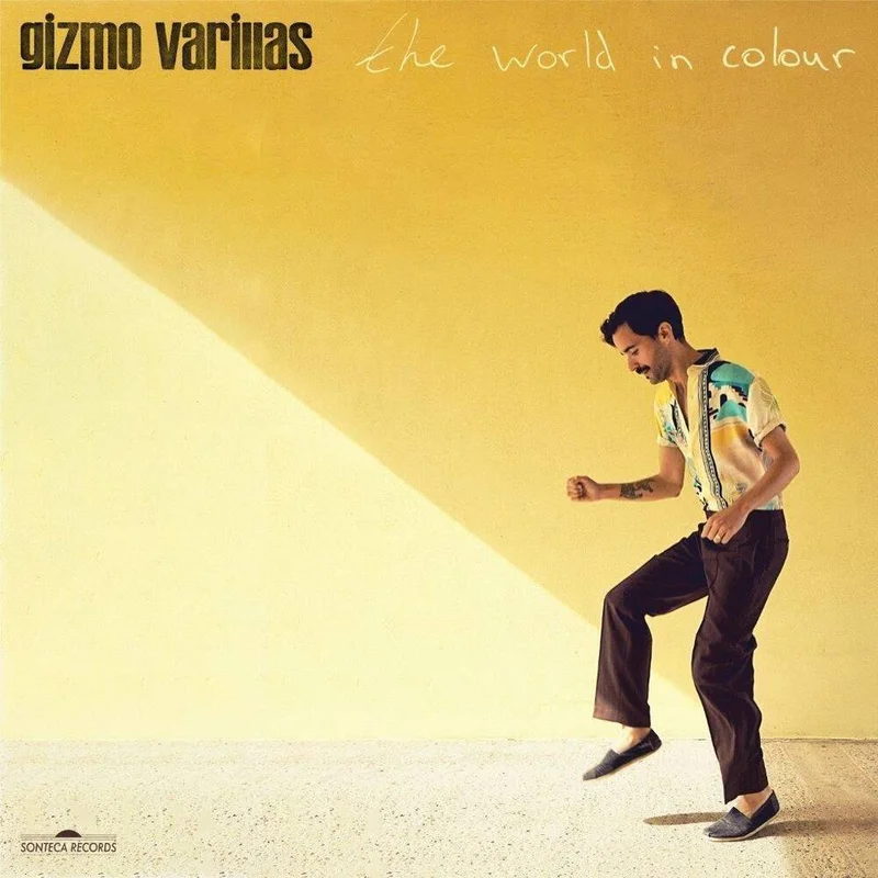 diversevinyl3252837