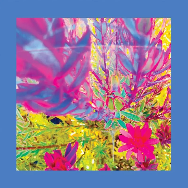 diversevinyl3300803