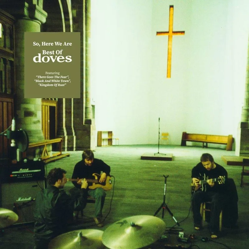 diversevinyl3341742