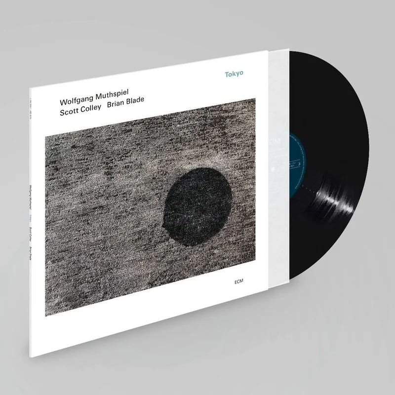 diversevinyl3399631