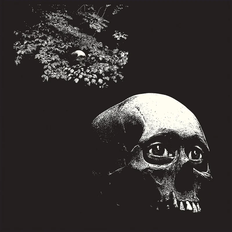 hundredrecords2611283