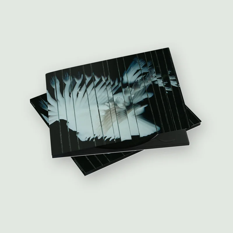 hundredrecords2678105