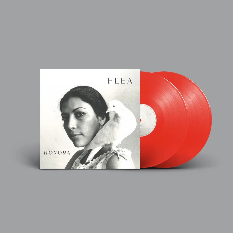 hundredrecords2695437