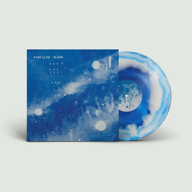 hundredrecords2704472