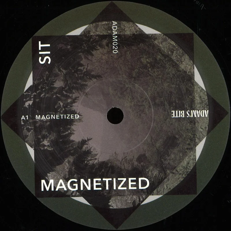vinylunderground2611165