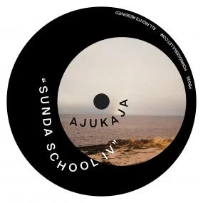 vinylunderground2615608